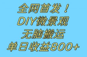全网首发冷门赛道！DIY微景观，无脑搬运视频，日收益800+【揭秘】-ANQUYE-HENHENLU-26UUU[首页]