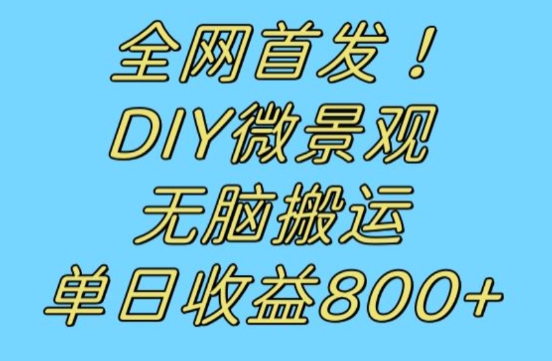 全网首发冷门赛道！DIY微景观，无脑搬运视频，日收益800+【揭秘】-ANQUYE-HENHENLU-26UUU[首页]