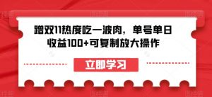 蹭双11热度吃一波肉，单号单日收益100+可复制放大操作【揭秘】-ANQUYE-HENHENLU-26UUU[首页]