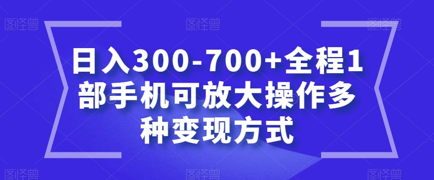日入300-700+全程1部手机可放大操作多种变现方式【揭秘】-ANQUYE-HENHENLU-26UUU[首页]