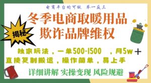 利用电商平台冬季销售取暖用品欺诈行为合理制裁店铺，单日入900+【仅揭秘】-ANQUYE-HENHENLU-26UUU[首页]