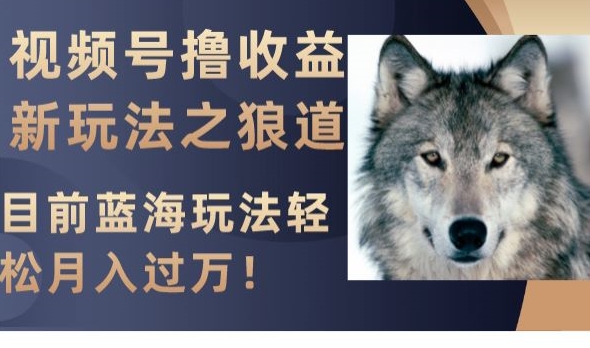 视频号撸收益新玩法之狼道，目前蓝海玩法，轻松月入过万【揭秘】-ANQUYE-HENHENLU-26UUU[首页]