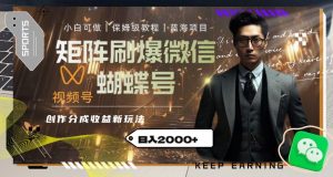 矩阵刷爆微信蝴蝶号创作者分成计划收益的新玩法，日入2000+【揭秘】-ANQUYE-HENHENLU-26UUU[首页]