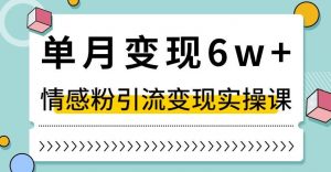 单月变现6W+，抖音情感粉引流变现实操课，小白可做，轻松上手，独家赛道【揭秘】-ANQUYE-HENHENLU-26UUU[首页]
