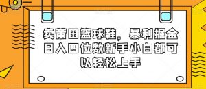 卖莆田篮球鞋，暴利掘金日入四位数新手小白都可以轻松上手【揭秘】-ANQUYE-HENHENLU-26UUU[首页]