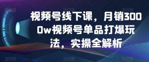 视频号线下课，月销3000w视频号单品打爆玩法，实操全解析-ANQUYE-HENHENLU-26UUU[首页]