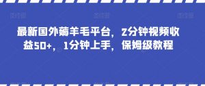 最新国外薅羊毛平台，2分钟视频收益50+，1分钟上手，保姆级教程【揭秘】-ANQUYE-HENHENLU-26UUU[首页]