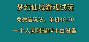 梦幻仙域游戏试玩，免微信玩法，单机40-70，一个人同时操作十台设备【揭秘】-ANQUYE-HENHENLU-26UUU[首页]