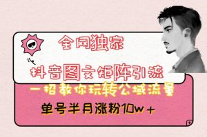 全网独家抖音图文矩阵引流，一招教你玩转公域流量，单号半月涨粉10w+【揭秘】-ANQUYE-HENHENLU-26UUU[首页]