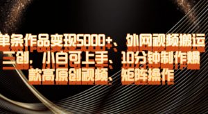 单条作品变现5000+、外网视频搬运二创，小白可上手，10分钟制作爆款高原创视频，矩阵操作【揭秘】-ANQUYE-HENHENLU-26UUU[首页]