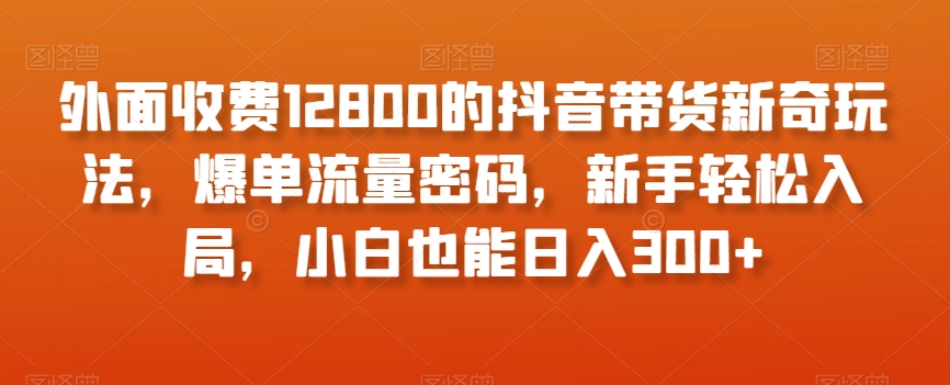 外面收费12800的抖音带货新奇玩法，爆单流量密码，新手轻松入局，小白也能日入300+【揭秘】-ANQUYE-HENHENLU-26UUU[首页]