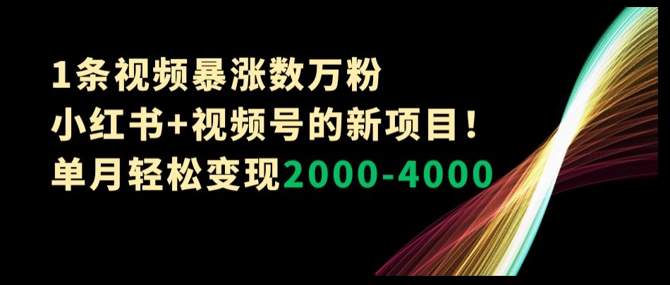 1条视频暴涨数万粉–小红书+视频号的新项目！单月轻松变现2000-4000【揭秘】-ANQUYE-HENHENLU-26UUU[首页]