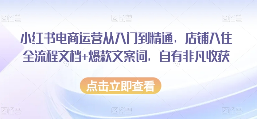 小红书电商运营从入门到精通，店铺入住全流程文档+爆款文案词，自有非凡收获-ANQUYE-HENHENLU-26UUU[首页]