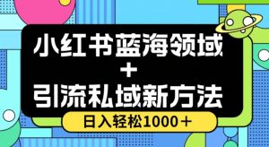 小红书蓝海虚拟＋引流私域新方法，100%不限流，日入轻松1000＋，小白无脑操作【揭秘】-ANQUYE-HENHENLU-26UUU[首页]