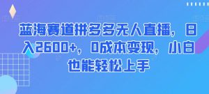 蓝海赛道拼多多无人直播，日入2600+，0成本变现，小白也能轻松上手【揭秘】-ANQUYE-HENHENLU-26UUU[首页]