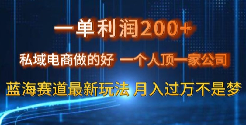 一单利润200私域电商做的好，一个人顶一家公司蓝海赛道最新玩法【揭秘】-ANQUYE-HENHENLU-26UUU[首页]