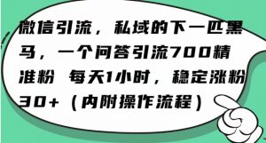 怎么搞精准创业粉？微信新赛道，每天一小时，利用Ai一个问答日引100精准粉-ANQUYE-HENHENLU-26UUU[首页]