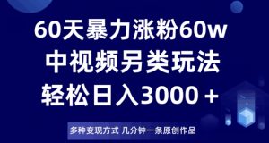 60天暴力涨粉60W，中视频另类玩法，日入3000＋，几分钟一条原创作品多种变现方式-ANQUYE-HENHENLU-26UUU[首页]