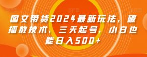 图文带货2024最新玩法，破播放技术，三天起号，小白也能日入500+【揭秘】-ANQUYE-HENHENLU-26UUU[首页]