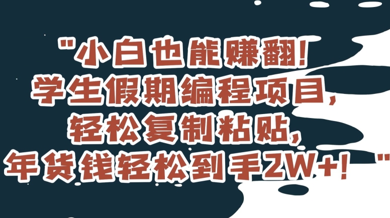 小白也能赚翻！学生假期编程项目，轻松复制粘贴，年货钱轻松到手2W+【揭秘】-ANQUYE-HENHENLU-26UUU[首页]