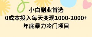 小白副业首选，0成本投入，每天变现1000-2000年底暴力冷门项目【揭秘】-ANQUYE-HENHENLU-26UUU[首页]