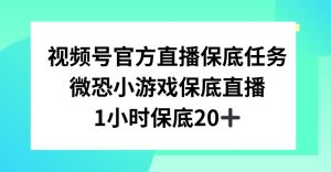 视频号直播任务，微恐小游戏，1小时20+【揭秘】-ANQUYE-HENHENLU-26UUU[首页]