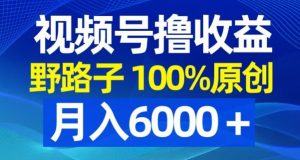 视频号野路子撸收益，100%原创，条条爆款，月入6000＋【揭秘】-ANQUYE-HENHENLU-26UUU[首页]