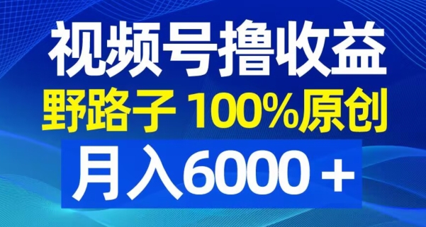 视频号野路子撸收益，100%原创，条条爆款，月入6000＋【揭秘】-ANQUYE-HENHENLU-26UUU[首页]