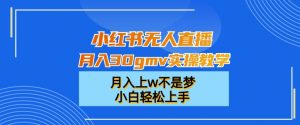 小红书无人直播月入30gmv实操教学，月入上w不是梦，小白轻松上手【揭秘】-ANQUYE-HENHENLU-26UUU[首页]