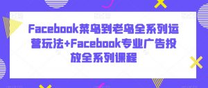 Facebook菜鸟到老鸟全系列运营玩法+Facebook专业广告投放全系列课程-ANQUYE-HENHENLU-26UUU[首页]