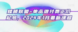 臻曦联盟-单品微付费正价起号，2024年1月最新课程-ANQUYE-HENHENLU-26UUU[首页]