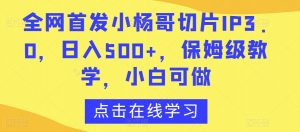 全网首发小杨哥切片IP3.0，日入500+，保姆级教学，小白可做【揭秘】-ANQUYE-HENHENLU-26UUU[首页]