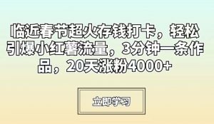 临近春节超火存钱打卡，轻松引爆小红薯流量，3分钟一条作品，20天涨粉4000+【揭秘】-ANQUYE-HENHENLU-26UUU[首页]