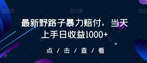 最新野路子暴力赔付，当天上手日收益1000+【仅揭秘】-ANQUYE-HENHENLU-26UUU[首页]