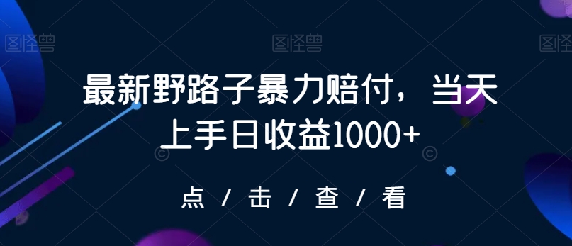 最新野路子暴力赔付，当天上手日收益1000+【仅揭秘】-ANQUYE-HENHENLU-26UUU[首页]