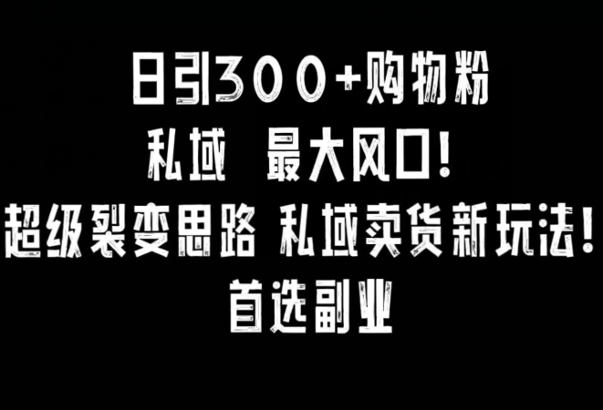 日引300+购物粉，超级裂变思路，私域卖货新玩法，小红书首选副业【揭秘】-ANQUYE-HENHENLU-26UUU[首页]