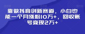 靠做抖音创新赛道，小白也能一个月涨粉10万+，回收账号变现2万+【揭秘】-ANQUYE-HENHENLU-26UUU[首页]