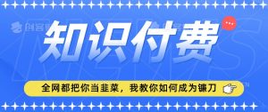 2024最新知识付费项目，小白也能轻松入局，全网都在教你做项目，我教你做镰刀【揭秘】-ANQUYE-HENHENLU-26UUU[首页]