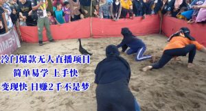 冷门爆款无人直播项目，简单易学上手快，变现快日赚2千不是梦【揭秘】-ANQUYE-HENHENLU-26UUU[首页]