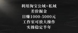 利用淘宝公域+私域差价掘金，日赚1000-5000元，工作室可放大操作，实操稳定半年【揭秘】-ANQUYE-HENHENLU-26UUU[首页]