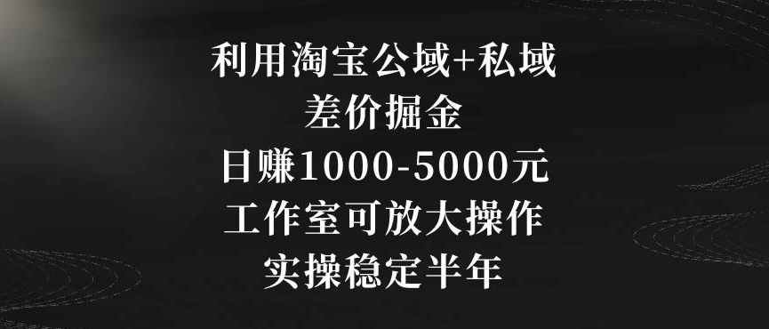 利用淘宝公域+私域差价掘金，日赚1000-5000元，工作室可放大操作，实操稳定半年【揭秘】-ANQUYE-HENHENLU-26UUU[首页]
