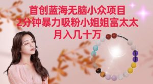 首创蓝海无脑小众项目，2分钟暴力吸粉小姐姐富太太，月入几十万【揭秘】-ANQUYE-HENHENLU-26UUU[首页]