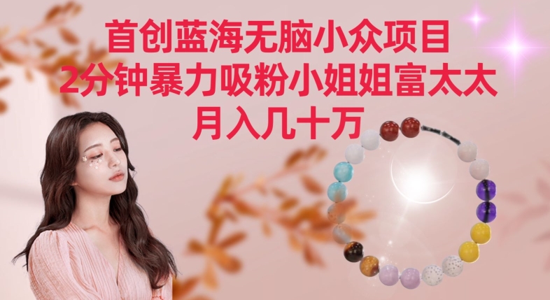 首创蓝海无脑小众项目，2分钟暴力吸粉小姐姐富太太，月入几十万【揭秘】-ANQUYE-HENHENLU-26UUU[首页]