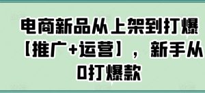 电商新品从上架到打爆【推广+运营】，新手从0打爆款-ANQUYE-HENHENLU-26UUU[首页]