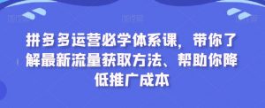 拼多多运营必学体系课，带你了解最新流量获取方法、帮助你降低推广成本-ANQUYE-HENHENLU-26UUU[首页]
