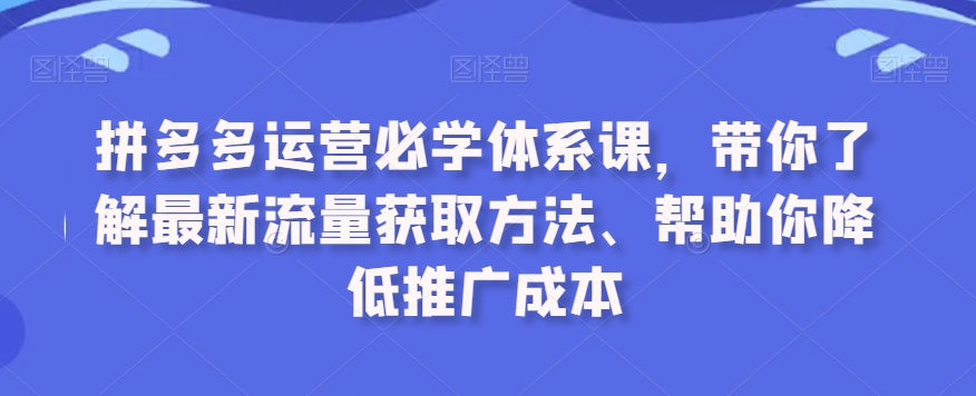 拼多多运营必学体系课，带你了解最新流量获取方法、帮助你降低推广成本-ANQUYE-HENHENLU-26UUU[首页]