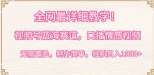 全网最详细教学，视频号蓝海赛道，口播情感视频，无需露脸，制作简单，轻松实现日入1000+【揭秘】-ANQUYE-HENHENLU-26UUU[首页]