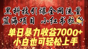 蓝海项目!黑科技引爆全网流量小红书拉新，单日暴力收益7000+，小白也能轻松上手【揭秘】-ANQUYE-HENHENLU-26UUU[首页]