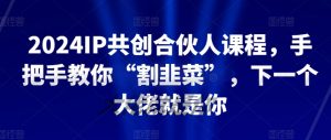 2024IP共创合伙人课程，手把手教你“割韭菜”，下一个大佬就是你-ANQUYE-HENHENLU-26UUU[首页]