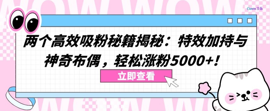 两个高效吸粉秘籍揭秘：特效加持与神奇布偶，轻松涨粉5000+【揭秘】-ANQUYE-HENHENLU-26UUU[首页]